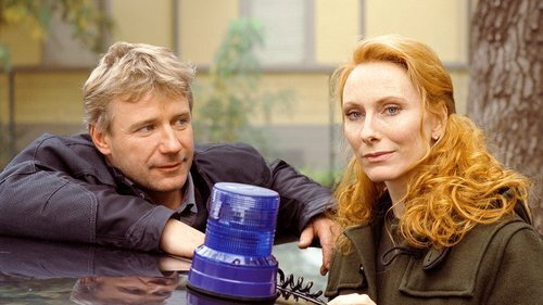 Scene of the Crime - S33E9: Episode 9