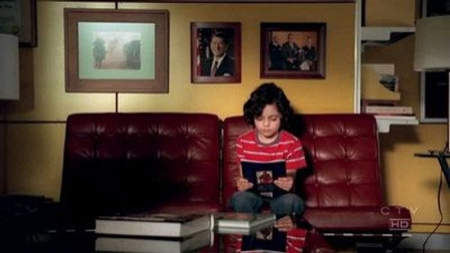 CSI: NY - S2E17: Necrophilia Americana