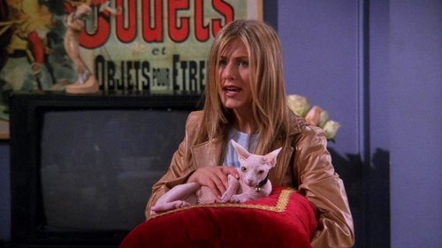 Friends - S5E21: The One with the Ball