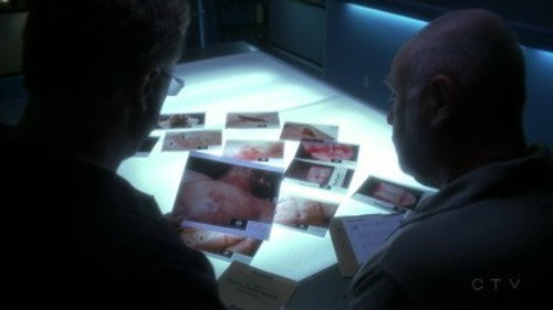 CSI: Crime Scene Investigation - S9E5: Leave out All the Rest