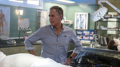 NCIS: New Orleans - S5E13: X