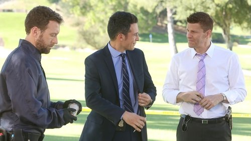 Bones - S11E8: High Treason in the Holiday Season