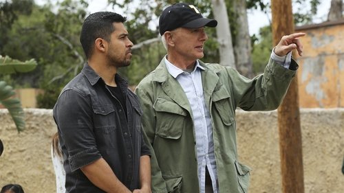 NCIS - S14E24: Rendezvous