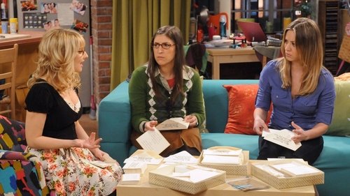 The Big Bang Theory - S5E16: The Vacation Solution