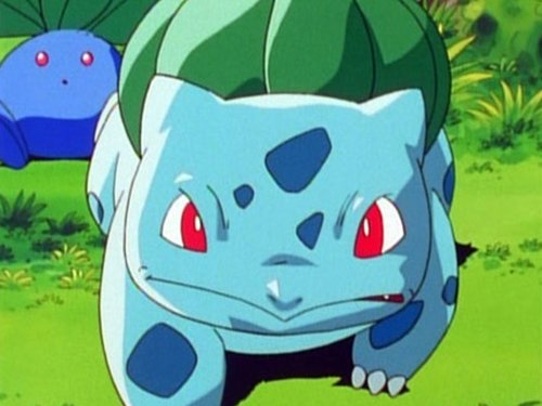Pokémon - S1E10: Bulbasaur and the Hidden Village