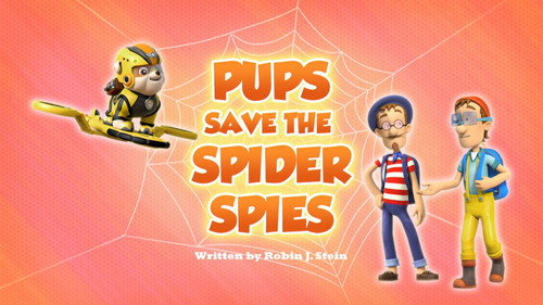 PAW Patrol - S6E36: Pups Save the Spider Spies