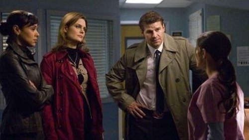Bones - S4E18: The Doctor in the Den