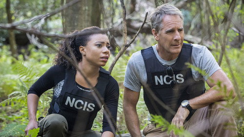NCIS: New Orleans - S2E8: Confluence