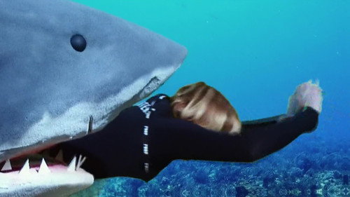 MythBusters - S9E19: Wet and Wild