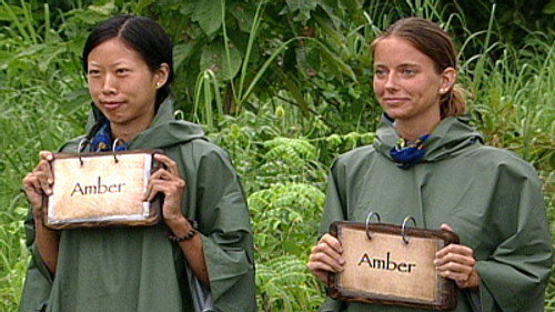 Survivor - S8E13: Stupid People, Stupid, Stupid People