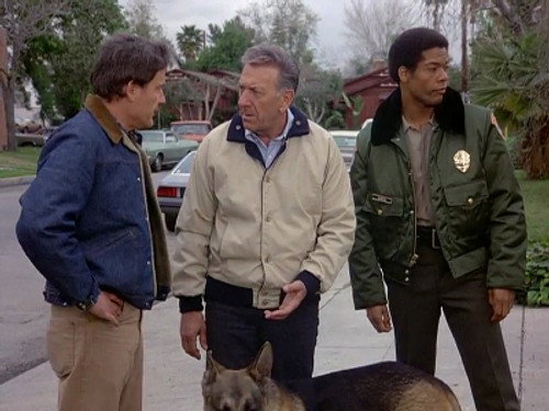 Quincy, M.E. - S7E23: Deadly Protection