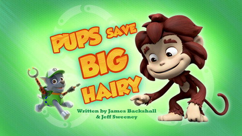 PAW Patrol - S4E22: Pups Save Big Hairy