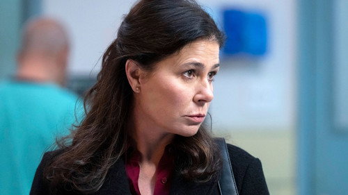 Law & Order - S24E12: Duty to Protect