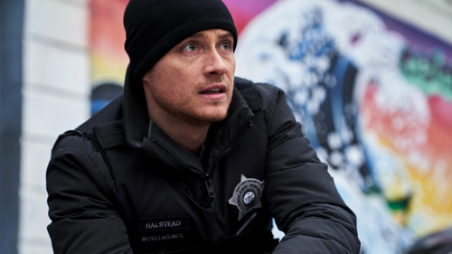 Chicago P.D. - S7E16: Intimate Violence