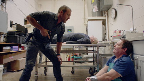 Hawaii Five-0 - S8E14: Nā keiki a Kalaihaohia (The Children of Kalaihoahia)