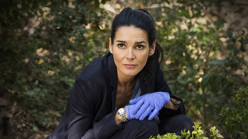 Rizzoli & Isles - S7E9: 65 Hours
