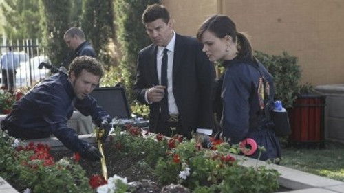 Bones - S6E20: The Pinocchio in the Planter