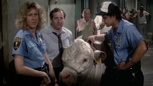 Hill Street Blues - S3E2: Domestic Beef
