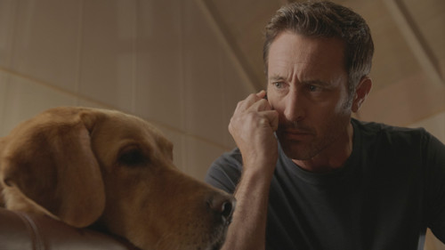 Hawaii Five-0 - S10E14: I hoʻolulu, hoʻohulei ʻia e ka makani (There Was a Lull, and Then the Wind Began to Blow About)