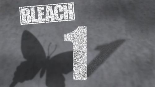 Bleach - S1E1: The Day I Became a Shinigami