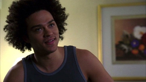 Law & Order - S16E17: America, Inc.