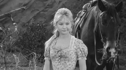Wagon Train - S1E3: The John Cameron Story
