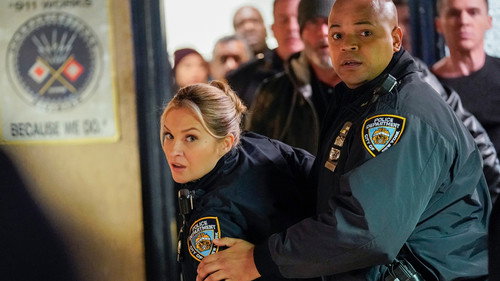 Blue Bloods - S10E14: Fog of War
