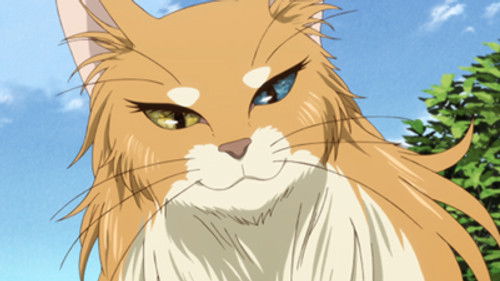 The Ancient Magus' Bride - S1E4: Everything must have a beginning.