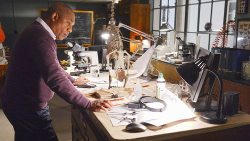 Scandal - S3E15: Mama Said Knock You Out