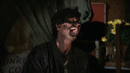 M*A*S*H - S1E13: Edwina
