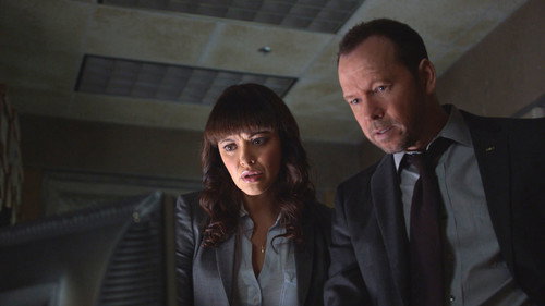 Blue Bloods - S5E14: The Poor Door