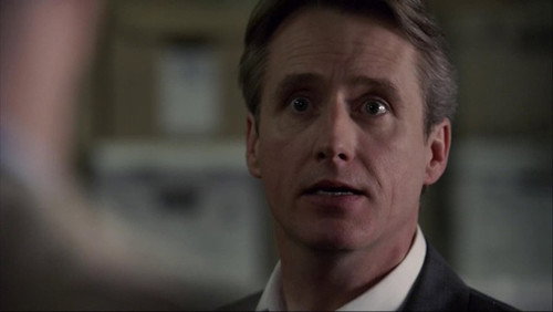 Law & Order - S20E15: Brilliant Disguise
