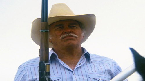 Dallas - S12E8: Deception