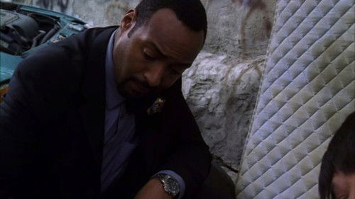 Law & Order - S16E5: Life Line