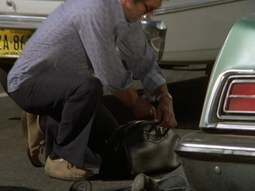 Hawaii Five-O - S6E18: Secret Witness