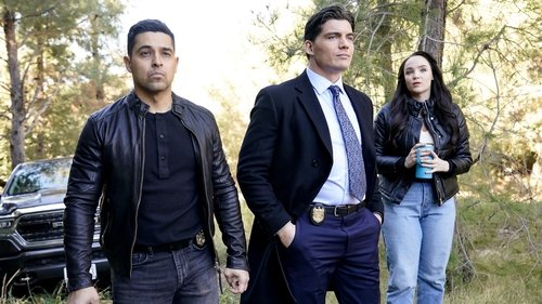 NCIS - S22E15: Moonlit