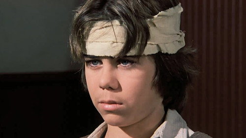 Little House on the Prairie - S5E20: Barn Burner