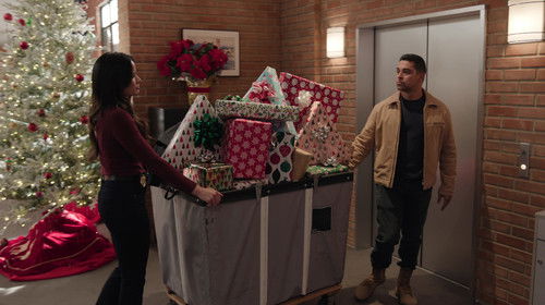 NCIS - S23E9: Heaven and Nature