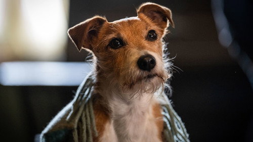 Call the Midwife - S12E6: Episode 6