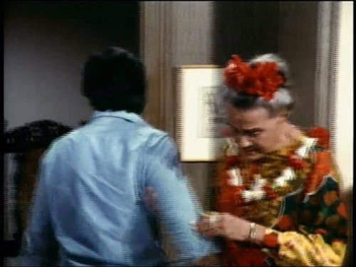 Hawaii Five-O - S10E13: The Big Aloha