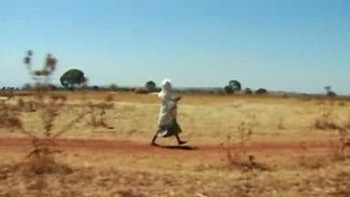 NOVA - S35E16: A Walk to Beautiful