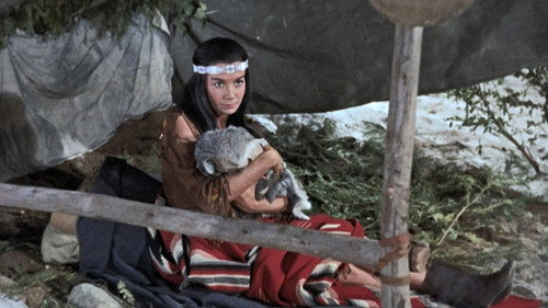 Bonanza - S1E15: The Last Hunt