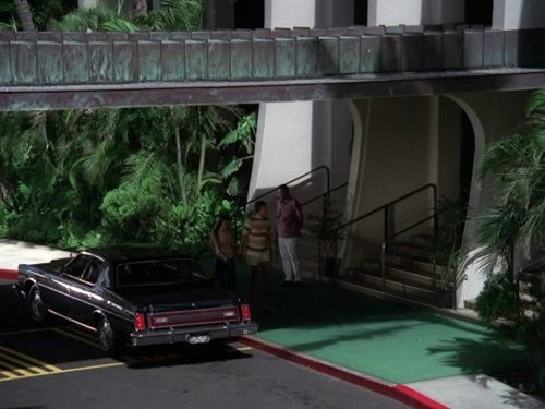 Hawaii Five-O - S8E10: Retire In Sunny Hawaii -- Forever