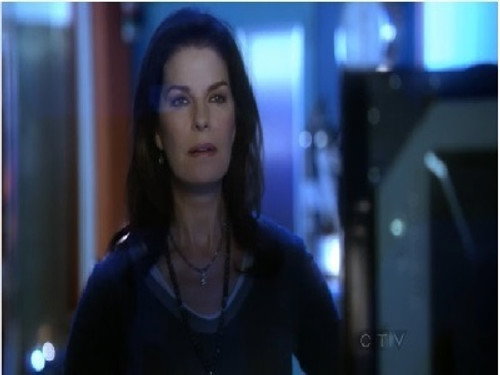 CSI: NY - S9E9: Blood Out