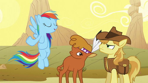 My Little Pony: Friendship Is Magic - S1E21: Over a Barrel
