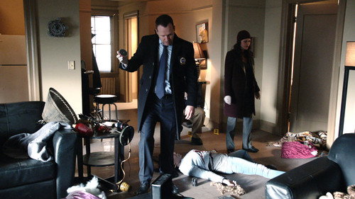 Blue Bloods - S5E19: Through the Looking Glass