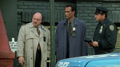 NYPD Blue - S5E10: Remembrance of Humps Past