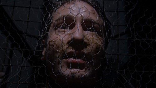 The X-Files - S4E8: Tunguska (1)