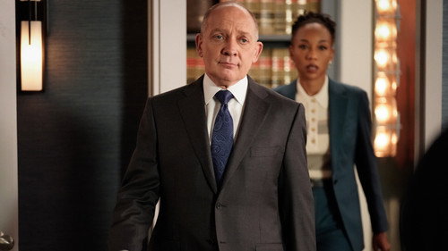The Good Fight - S5E3: And the court had a clerk...