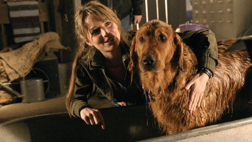 Smallville - S4E14: Krypto